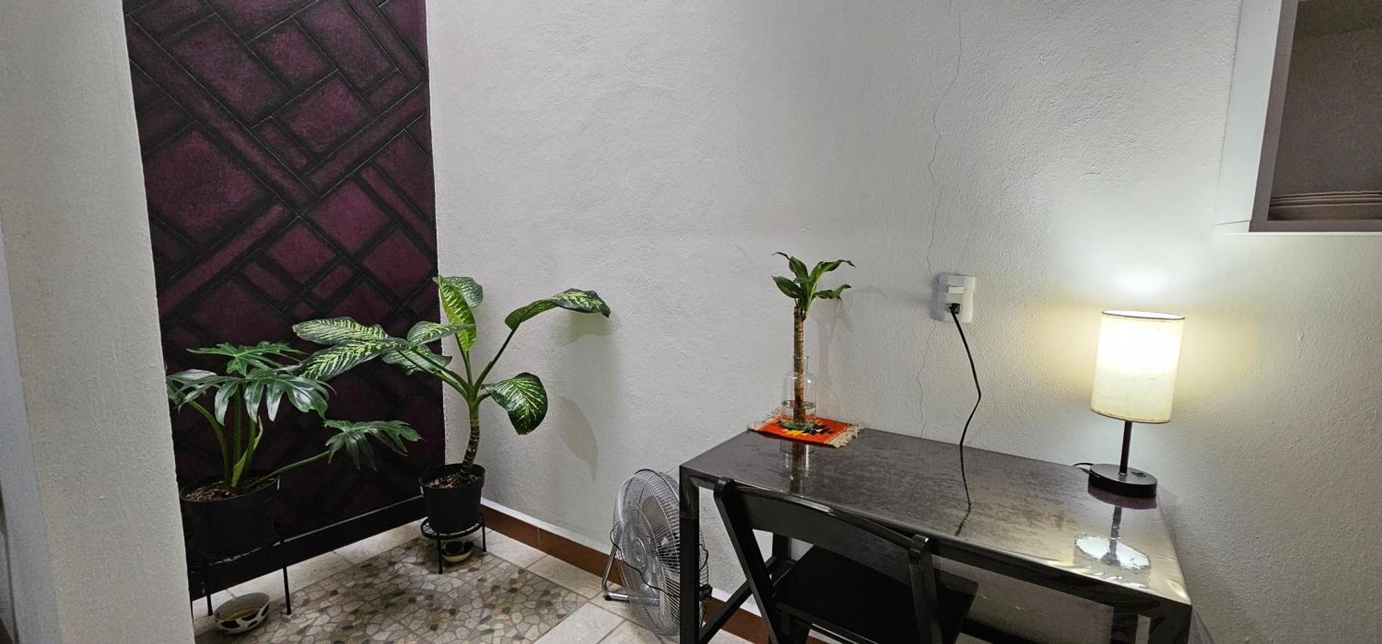 San Antonio de la Cal Depa Purpura Caracol 아파트 외부 사진